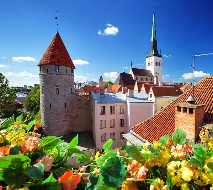 Estonia-banner2 | CitizenMatch