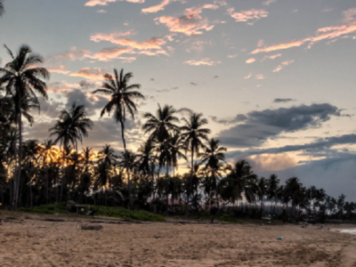 NEW OPTION UNDER GRENADA’S CITIZENSHIP BY INVESTMENT PROGRAM